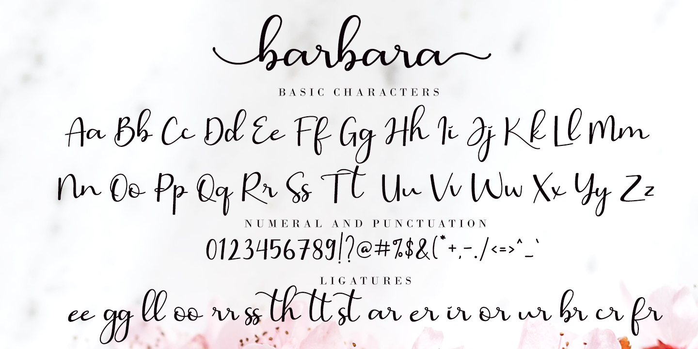 Beispiel einer Barbara Calligraphy Regular-Schriftart